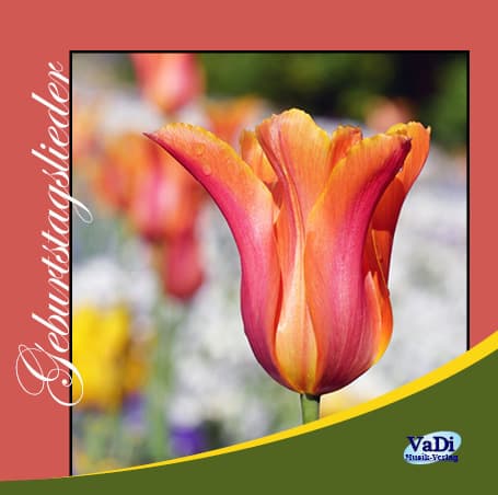 Cover: Geburtstagslieder