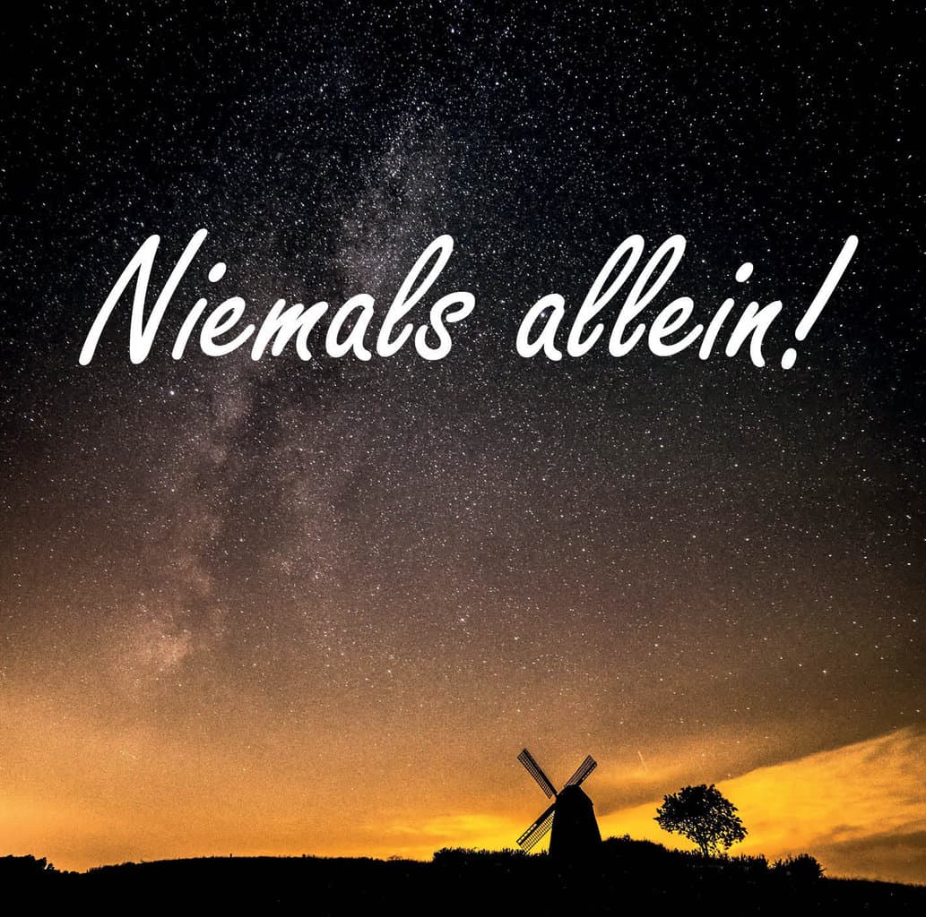 Cover: Niemals allein!